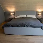 Domki Krynica Σαλέ Krynica Zdroj