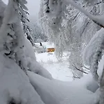 Domki Krynica Σαλέ