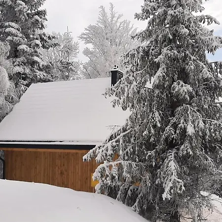 Alpstuga Domki Krynica *