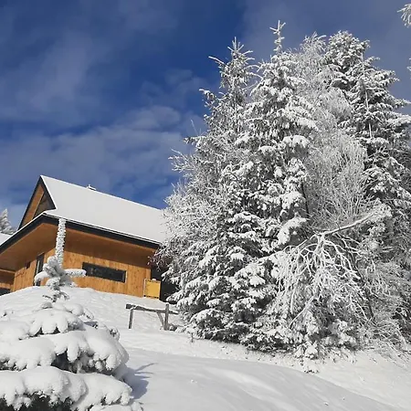 Domki Krynica * كرينيتسا زدروي