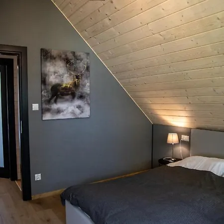 Horská chata Domki Krynica