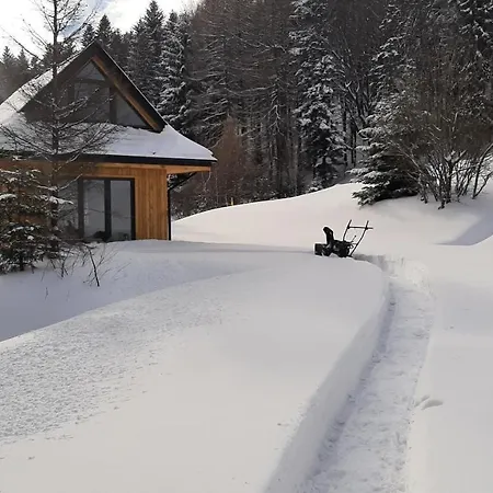 Domki Krynica *