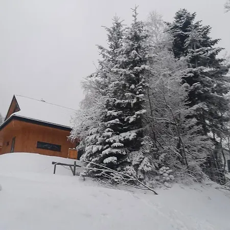 Domki Krynica Krynica Zdrój