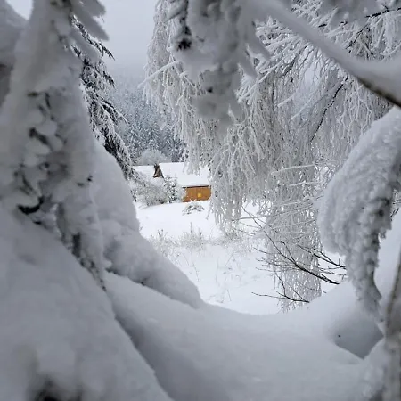 Domki Krynica Chalet