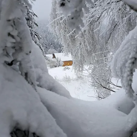 Domki Krynica Chalet