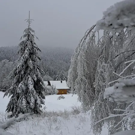 Domki Krynica Chalet *
