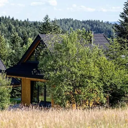 Domki Krynica Chalet