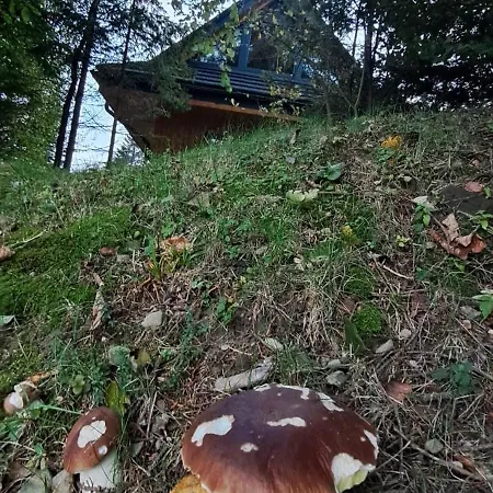 Domki Krynica * Krynica-Zdrój