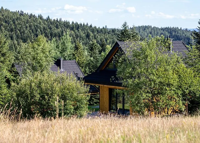 Domki Krynica Dağ evi *