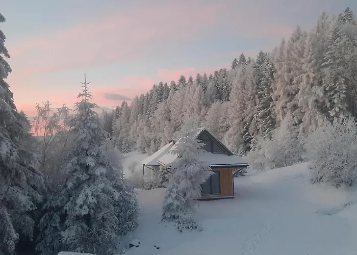 Domki Krynica Krynica Zdroj