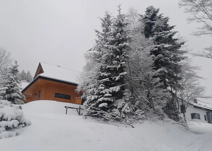 Domki Krynica Krynica Zdroj