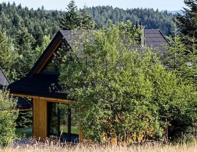 Domki Krynica Dağ evi